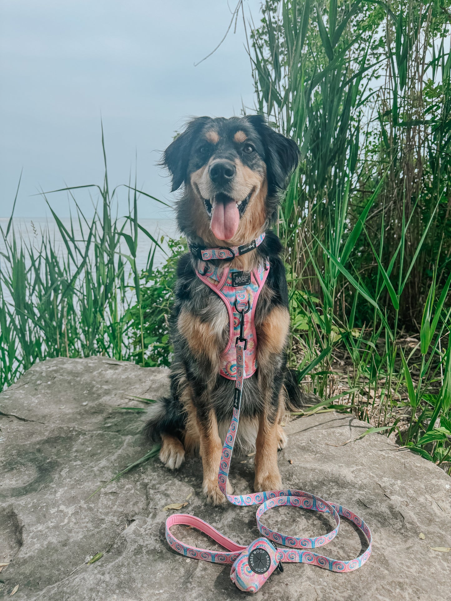 Dog Two Piece Bundle - Good Vibes
