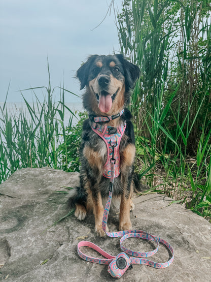 Dog Collar - Good Vibes