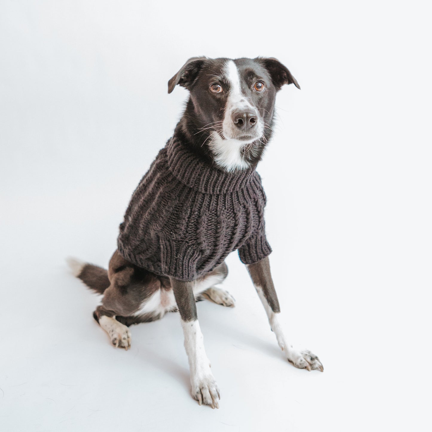 Pet Cable Knit Sweater - Black