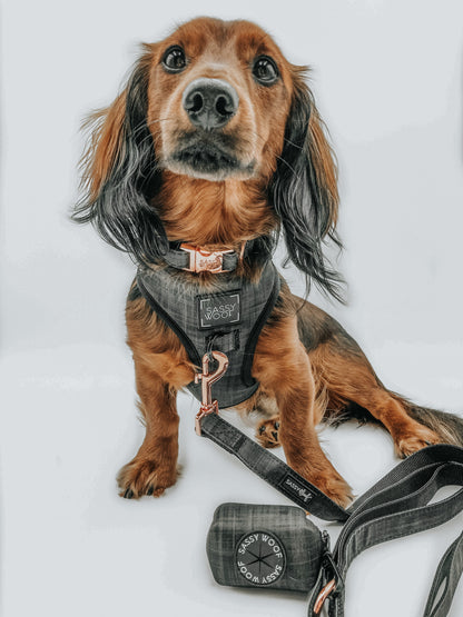 Dog Four Piece Bundle - Baby Got Black