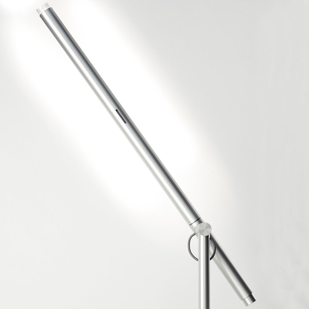Brazo Floor Lamp