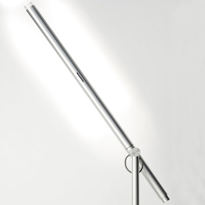 Brazo Floor Lamp