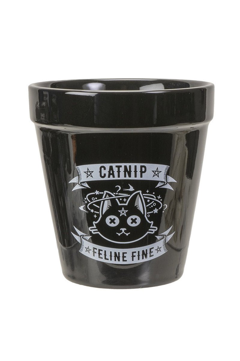 Catnip Plant Pot