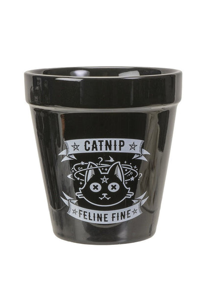Catnip Plant Pot