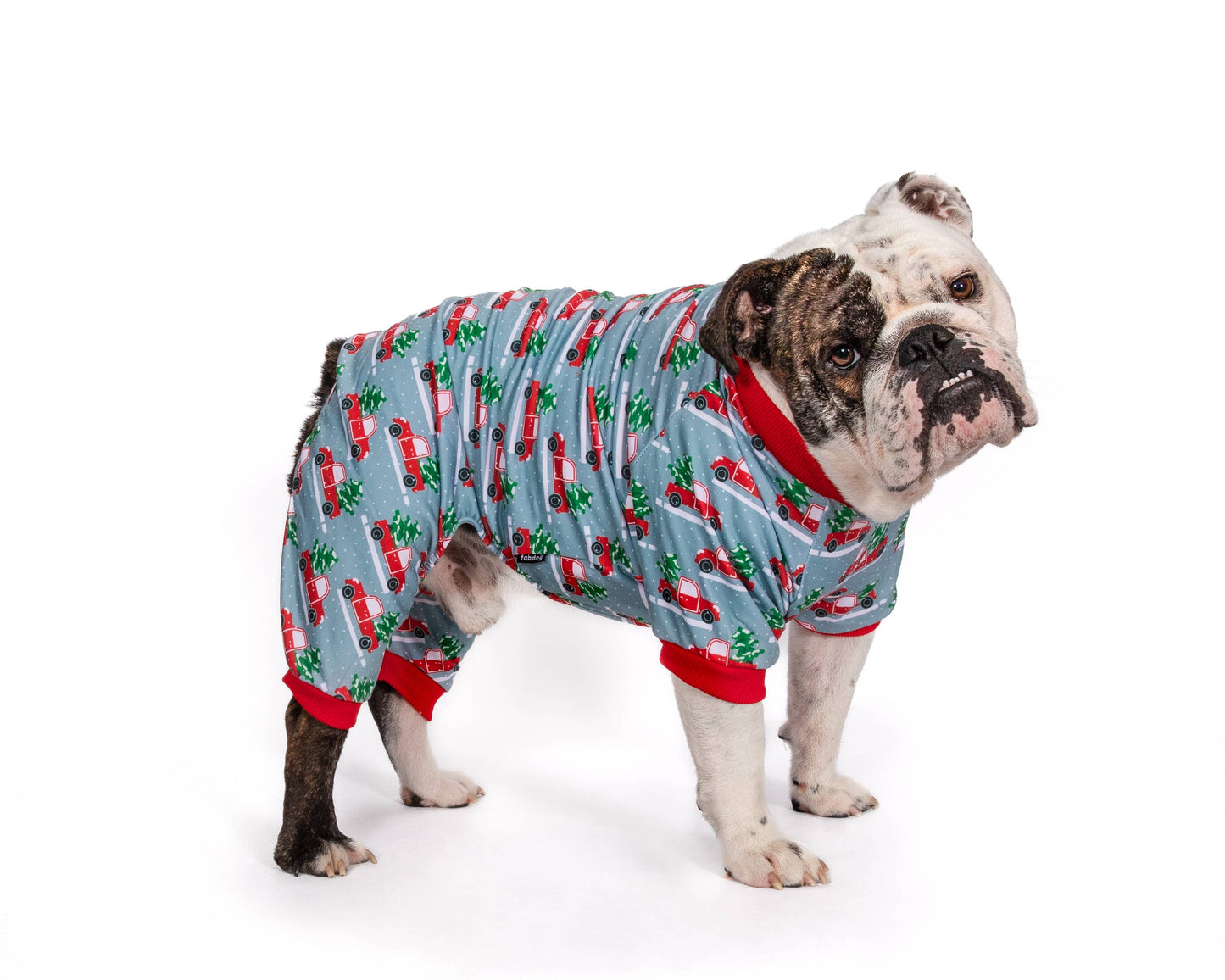 fabdog - X-Mas Truck Christmas Matching Dog Onesie