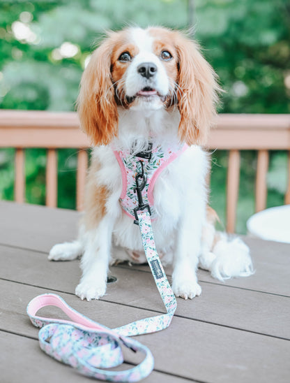 Dog Adjustable Harness - Magnolia