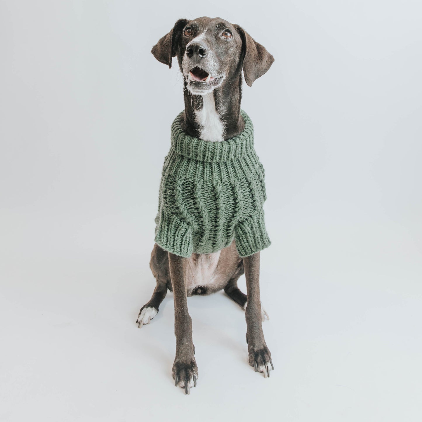 Pet Cable Knit Sweater - Dark Green