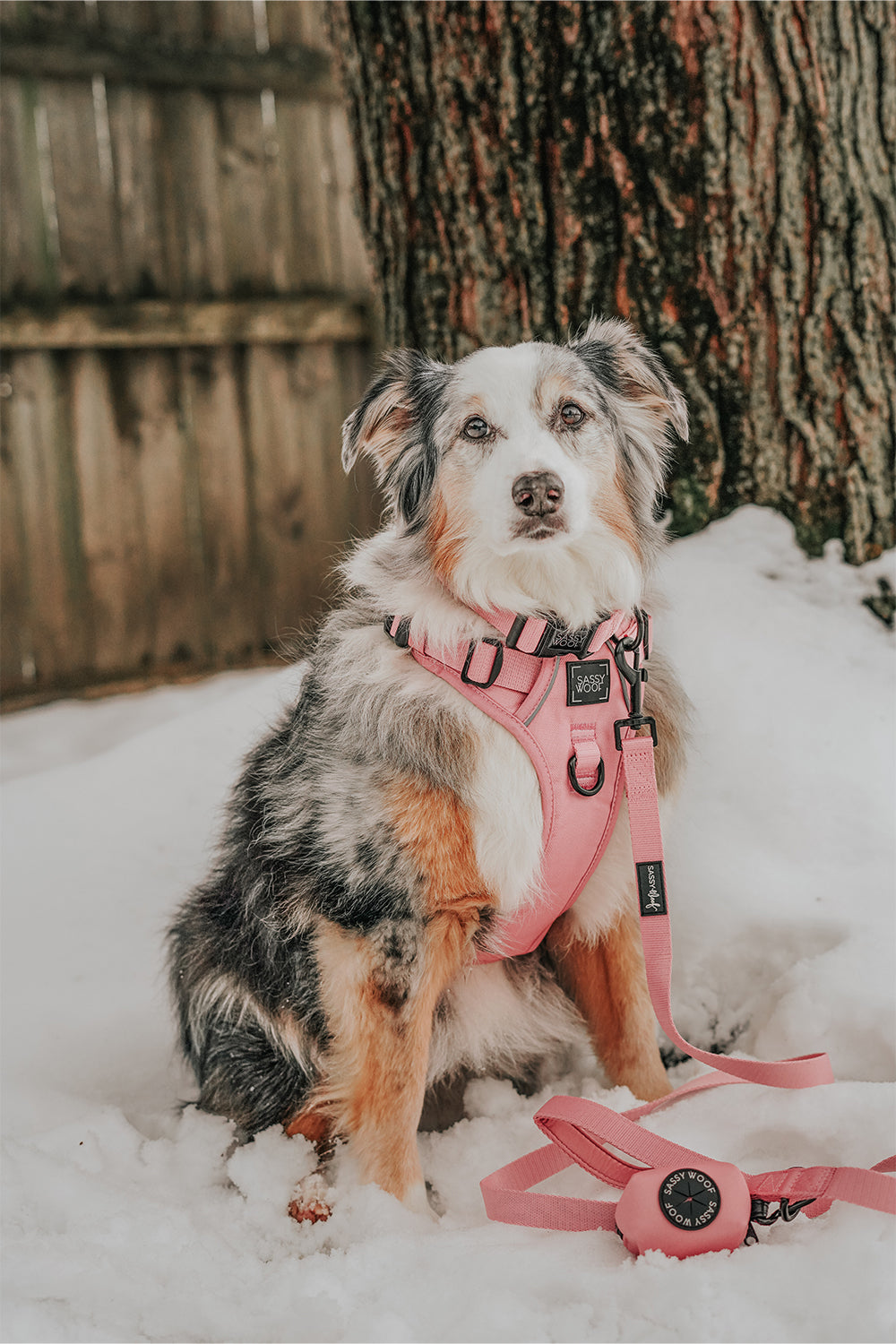 Dog Two Piece Bundle - Dusty Rose