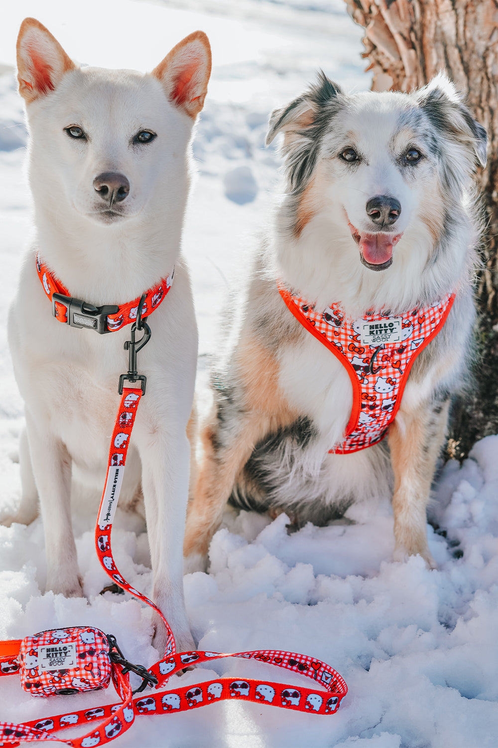 Dog Leash - Hello Kitty® Red Classic