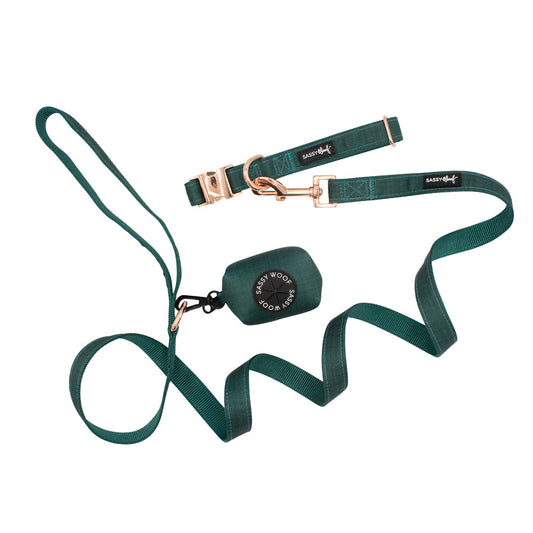 Dog Collar Three Piece Bundle - Forest