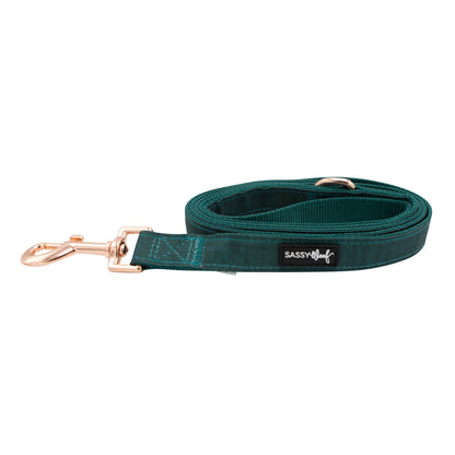 Dog Collar Three Piece Bundle - Forest