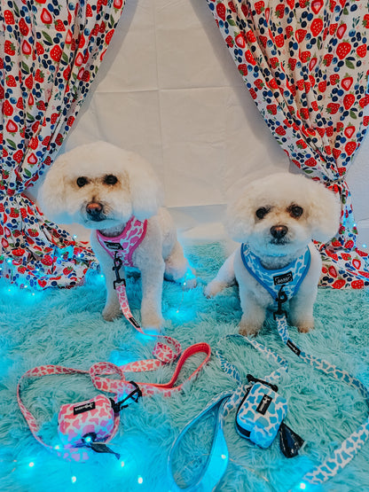 Dog Adjustable Harness - Blueberry Milk
