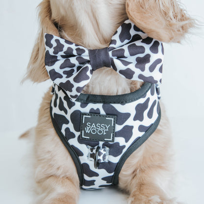 Dog Bowtie - Moo Moo