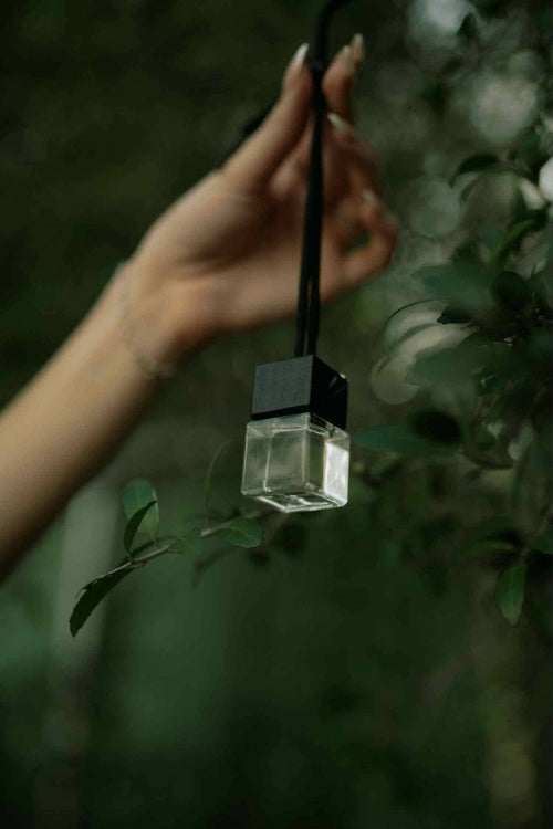 Hanging Diffusers