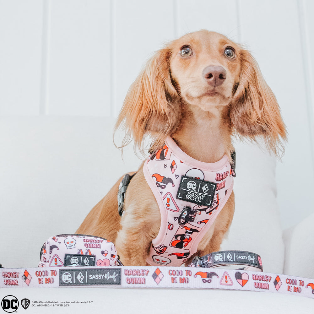 Dog Waste Bag Holder - Harley Quinn™