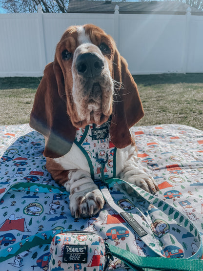 Dog Picnic Blanket - Peanuts™ Beagle Scouts