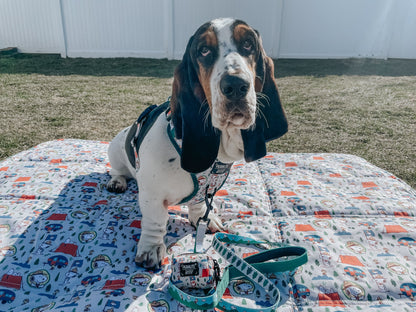 Dog Picnic Blanket - Peanuts™ Beagle Scouts