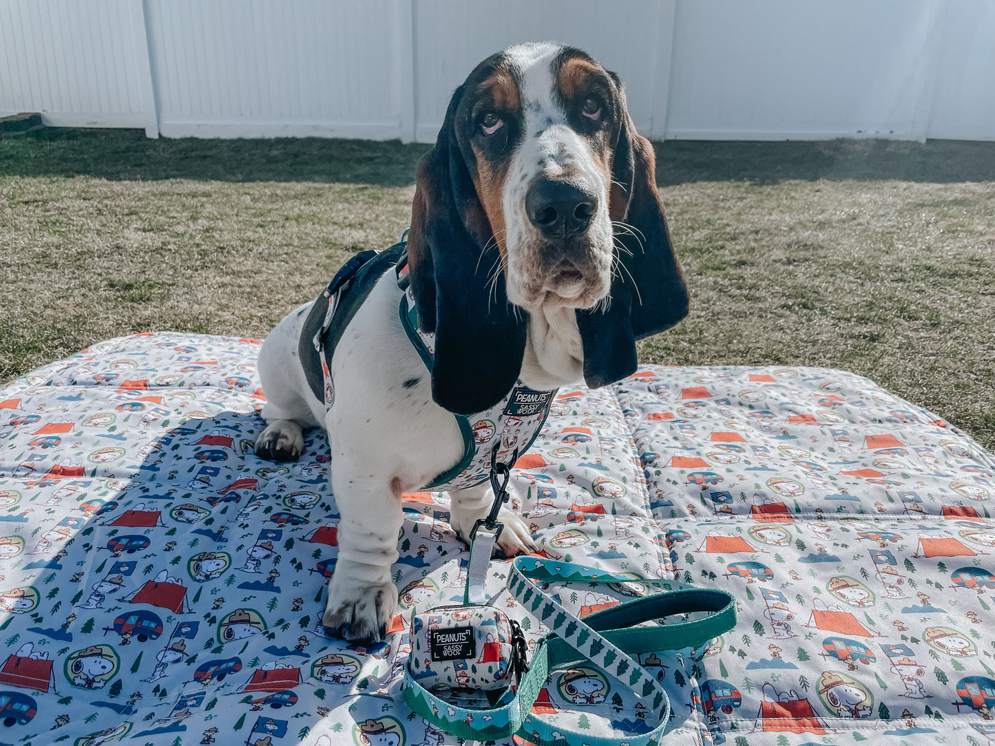 Dog Waste Bag Holder - Peanuts™ Beagle Scouts