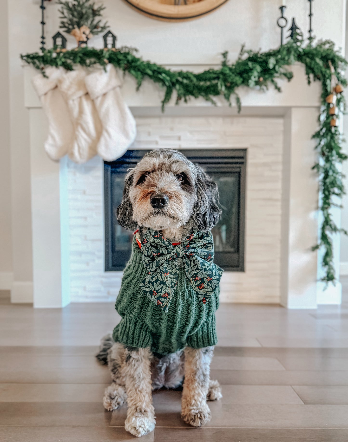 Pet Cable Knit Sweater - Dark Green