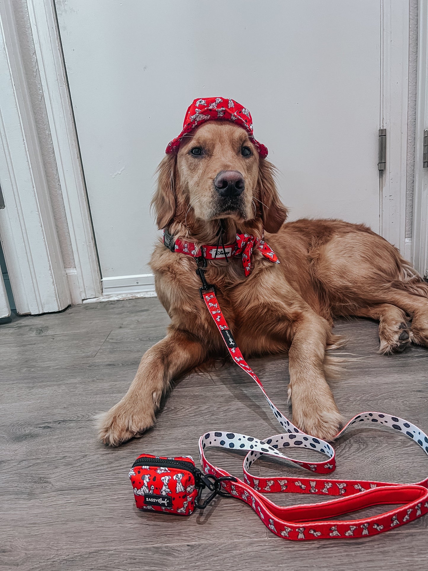 Dog Waste Bag Holder - Disney's 101 Dalmatians