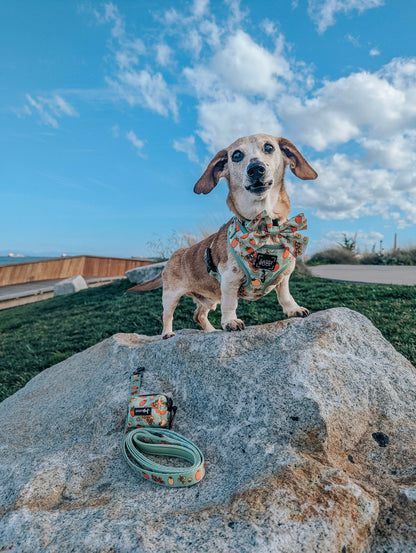 Dog Waste Bag Holder - Feeling Vine