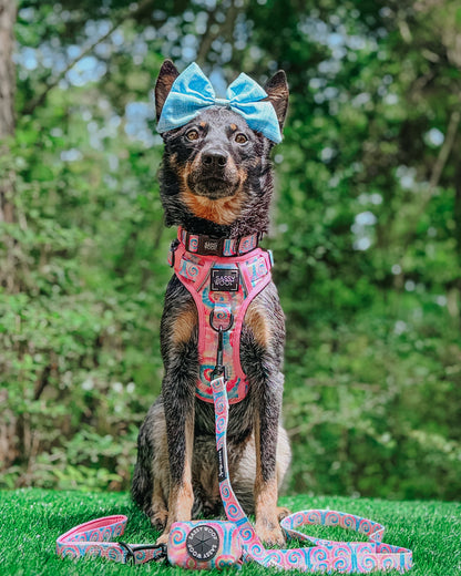 Dog Two Piece Bundle - Good Vibes
