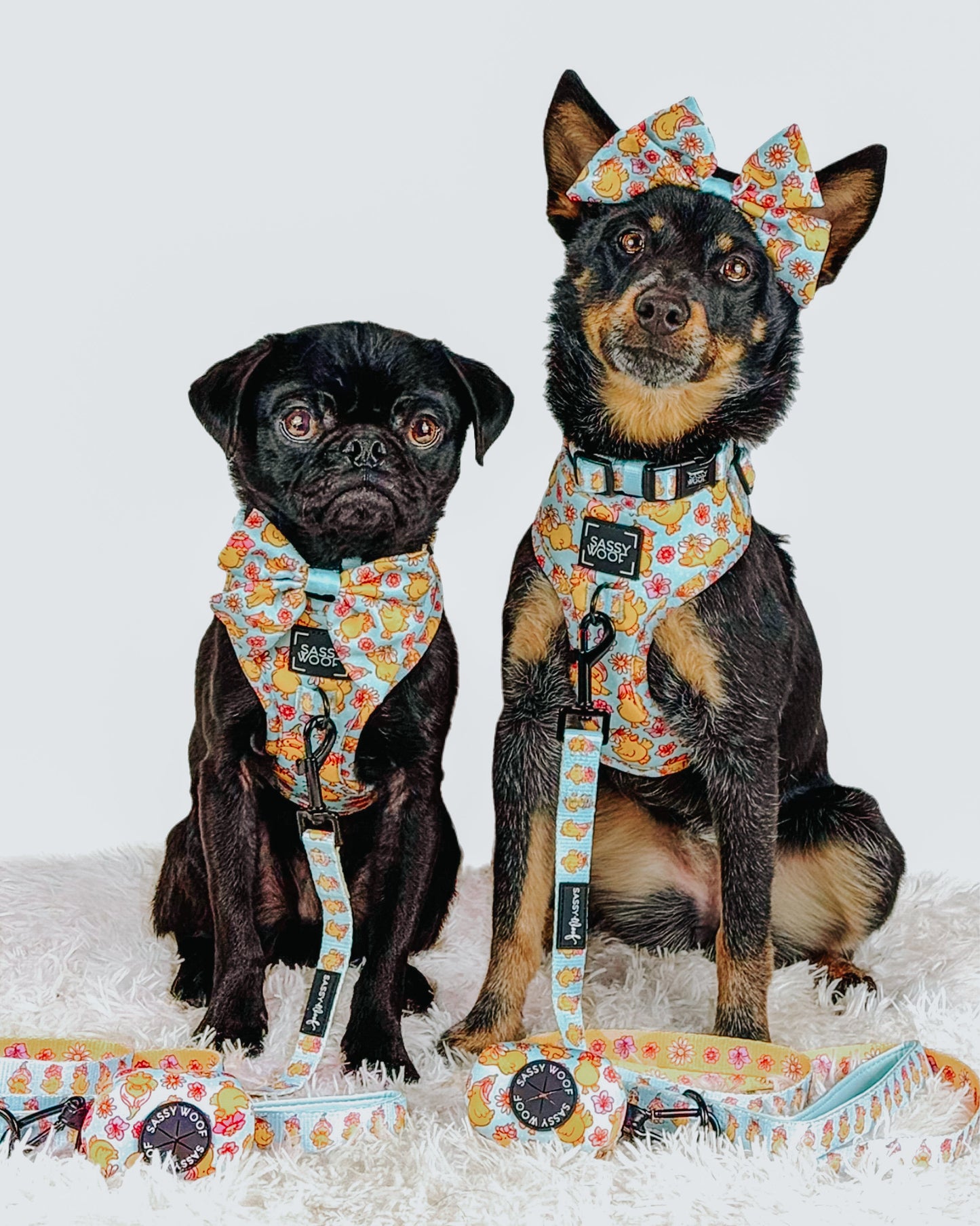 Dog Two Piece Bundle - Good Duck, Babe!