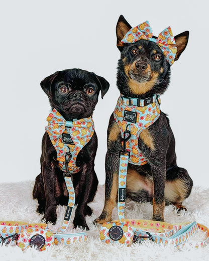Dog Three Piece Bundle - Good Duck, Babe!
