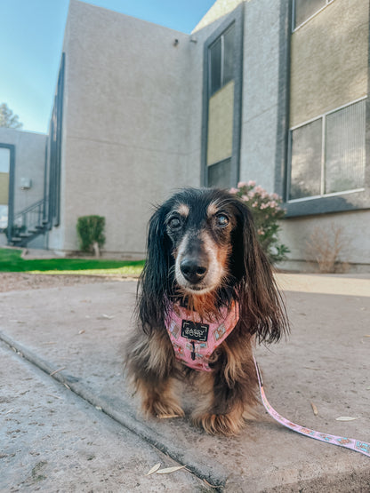 Dog Two Piece Bundle - Out of Office