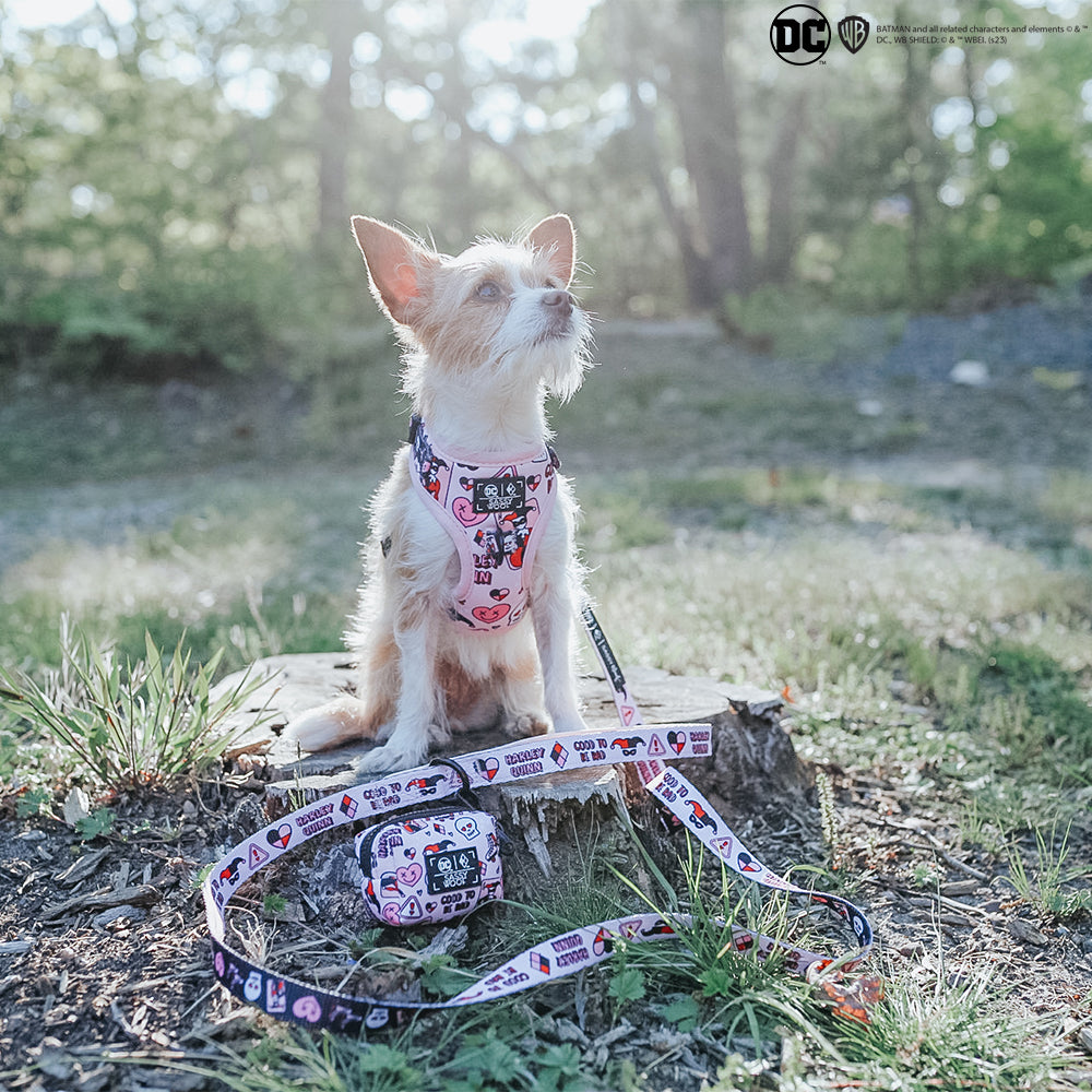 Dog Waste Bag Holder - Harley Quinn™
