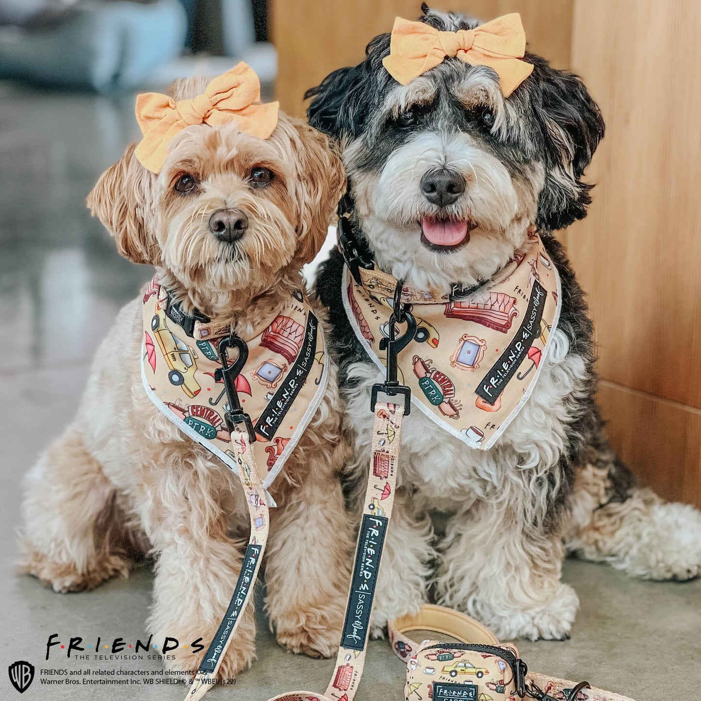 Dog Bandana - Friends™ (Yellow)