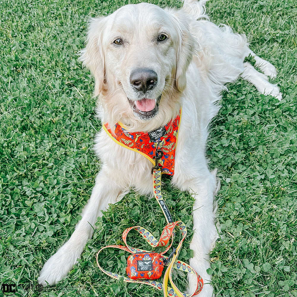 Dog Waste Bag Holder - Wonder Woman™