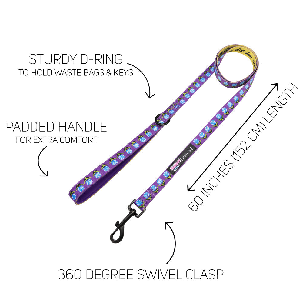 Dog Collar Three Piece Bundle - Mojo Jojo™