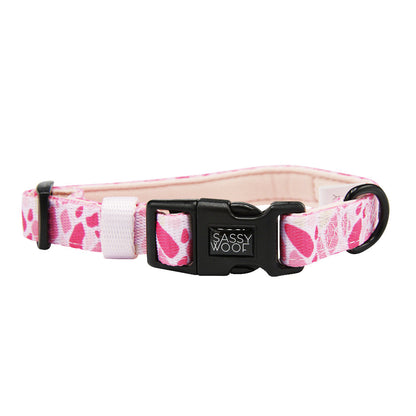 Dog Collar Three Piece Bundle - Mykonos