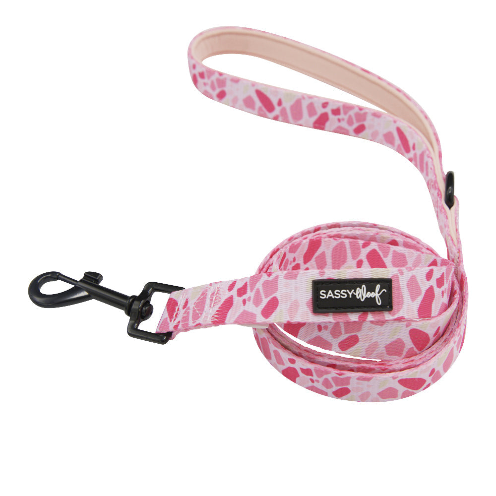 Dog Collar Three Piece Bundle - Mykonos