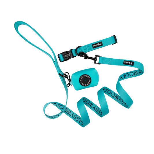 Dog Collar Three Piece Bundle - Neon Blue