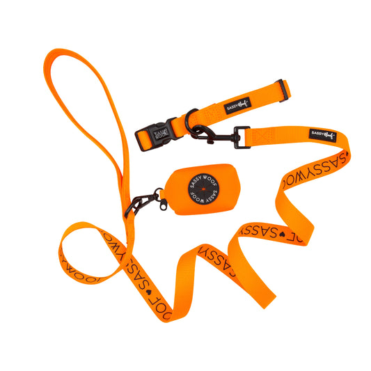 Dog Collar Three Piece Bundle - Neon Orange
