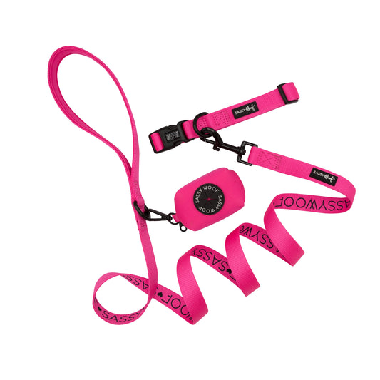 Dog Collar Three Piece Bundle - Neon Pink