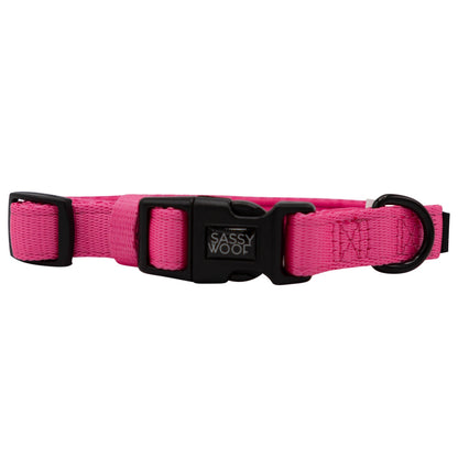 Dog Collar Three Piece Bundle - Neon Pink