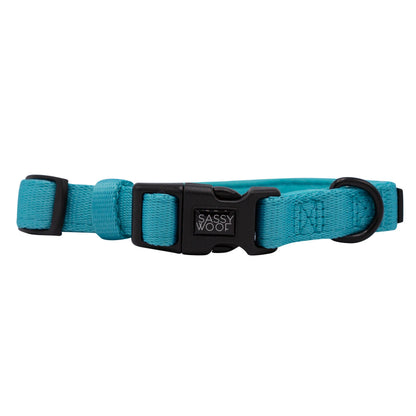 Dog Collar Three Piece Bundle - Neon Blue
