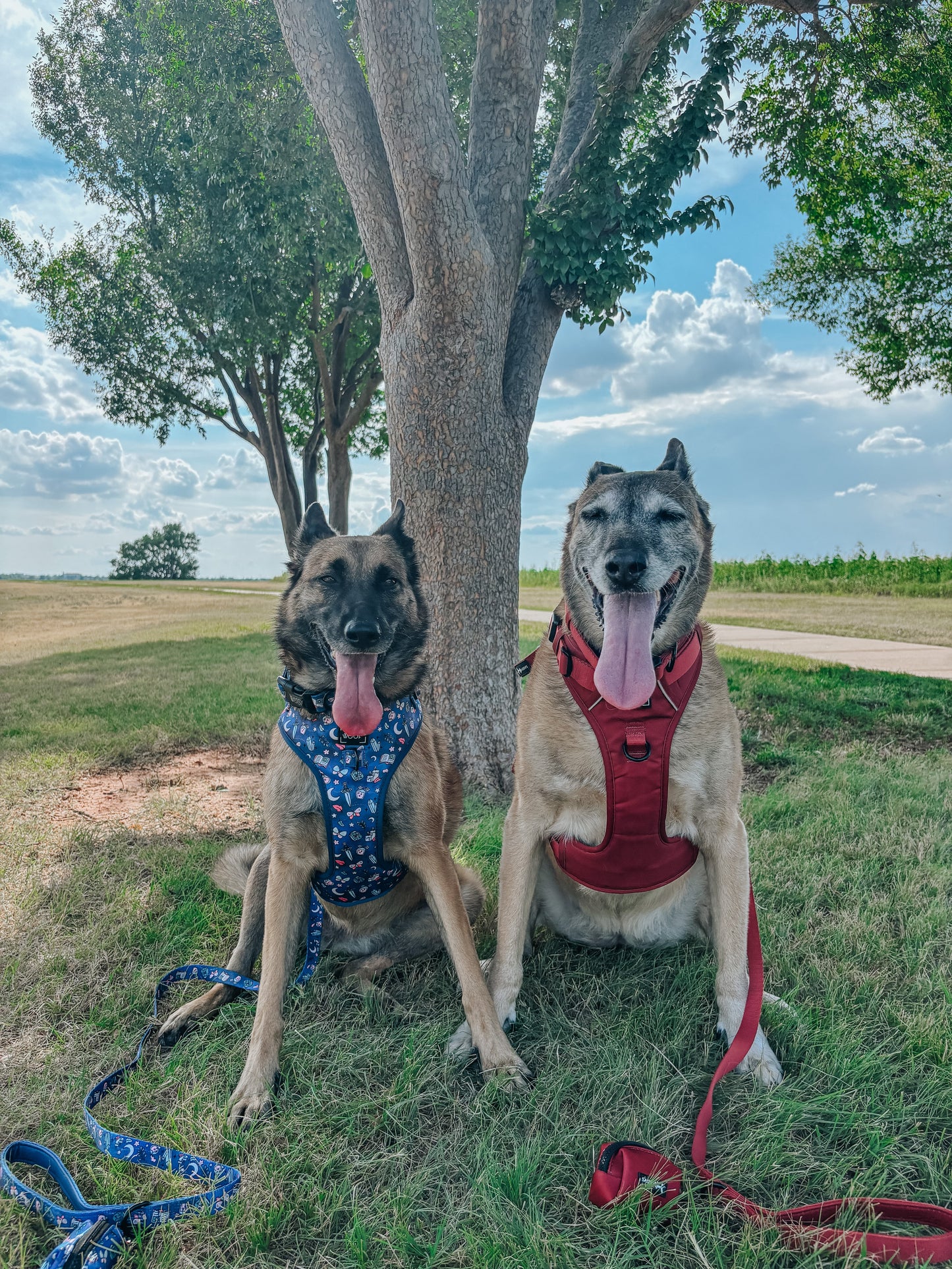 Dog Step-in Harness - Burgundy