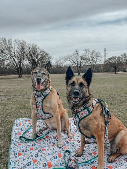 Dog Picnic Blanket - Peanuts™ Beagle Scouts
