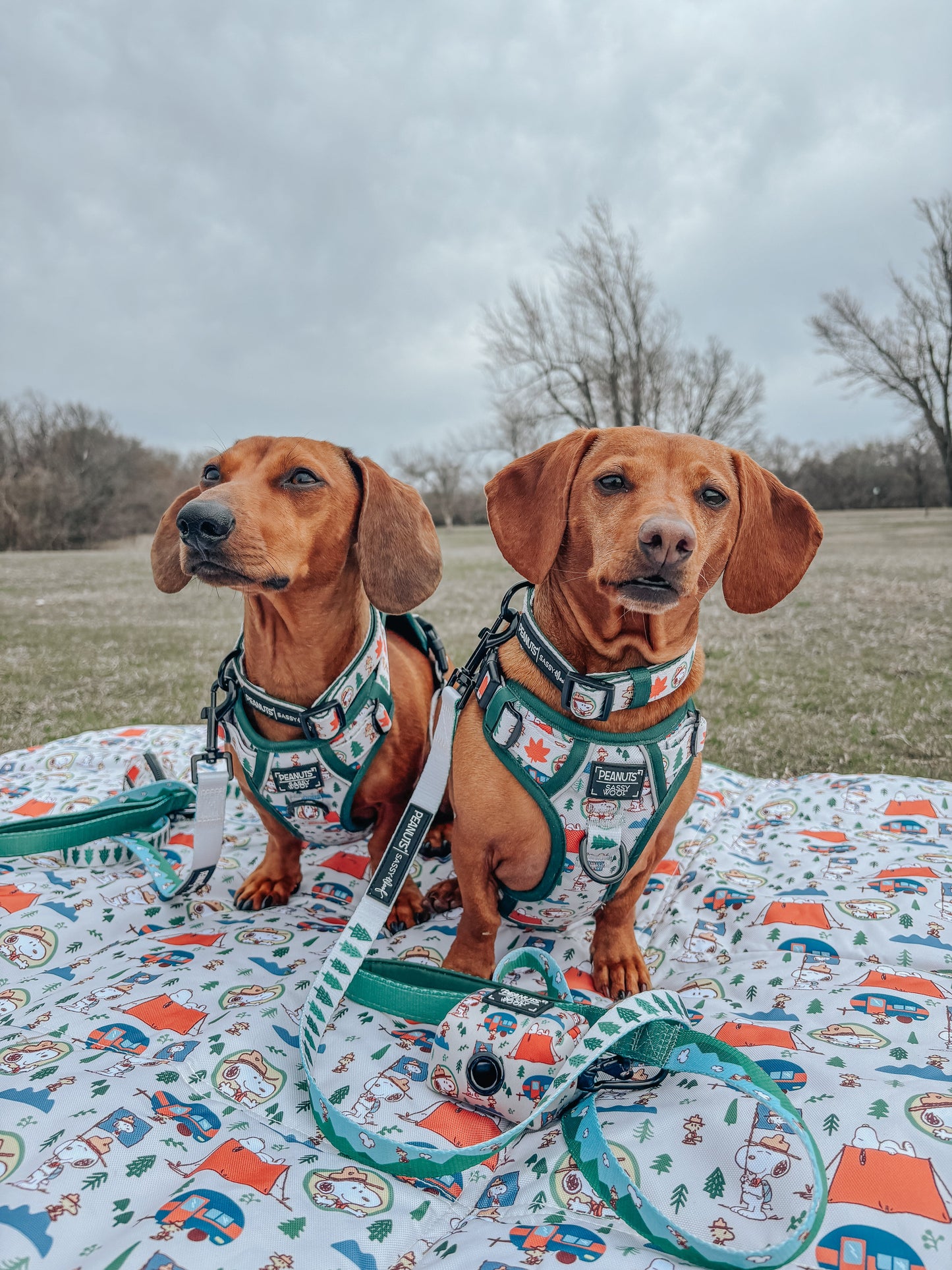 Dog Waste Bag Holder - Peanuts™ Beagle Scouts