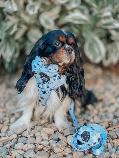 Dog Waste Bag Holder - Berry Sassy