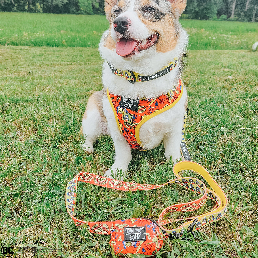 Dog Waste Bag Holder - Wonder Woman™