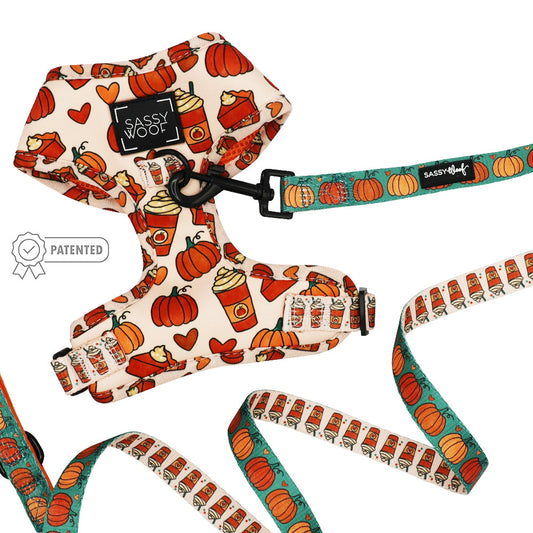 Dog Two Piece Bundle -  Pie There