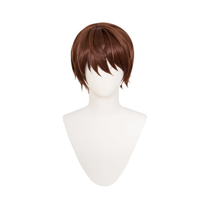【Ready For Ship】DokiDoki Anime Cosplay Wig Short Straight Brown Hair