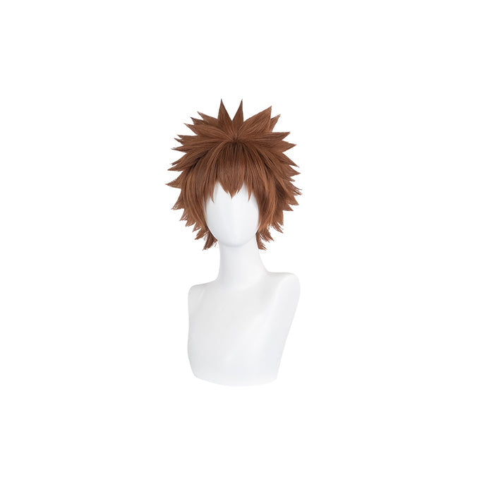 【Ready For Ship】DokiDoki Anime Katekyō Hitman Reborn! Cosplay Wig Sawada Tsunayoshi Short Straight Brown Hair