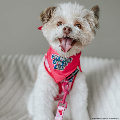 Dog Bandana - Mean Girls™ She Doesn't Even Go Here