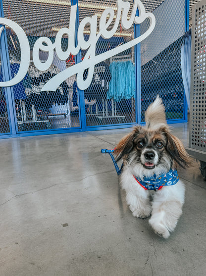 Dog Two Piece Bundle - MLB™ x Peanuts™ Los Angeles Dodgers™